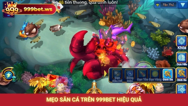 Mẹo săn cá online hiệu quả