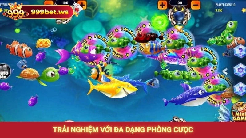 Trải nghiệm với đa dạng phòng cược