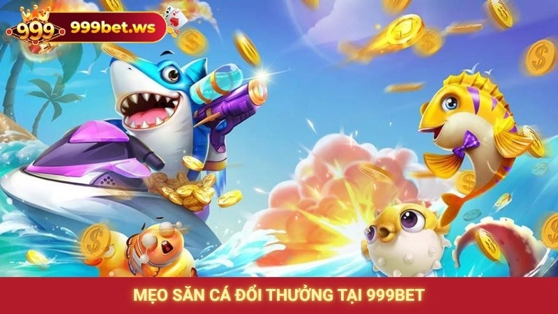 Mẹo săn cá đổi thưởng từ ngư thủ chuyên nghiệp